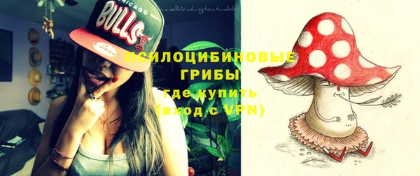 тгк Семикаракорск